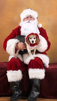 SPCA serving Allegany County NY